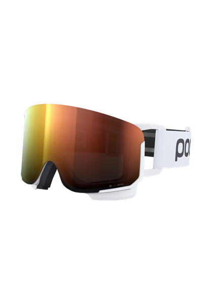 Nexal Clarity Ski Goggles