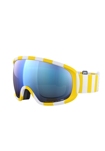 Fovea Ski Goggles