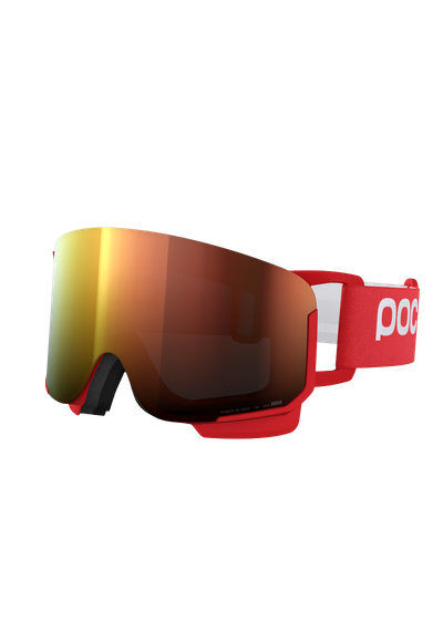 Nexal Ski Goggles